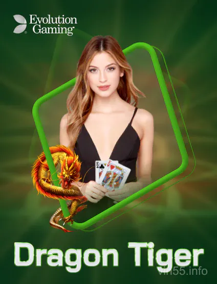 Evolution Dragon Tiger Vin55